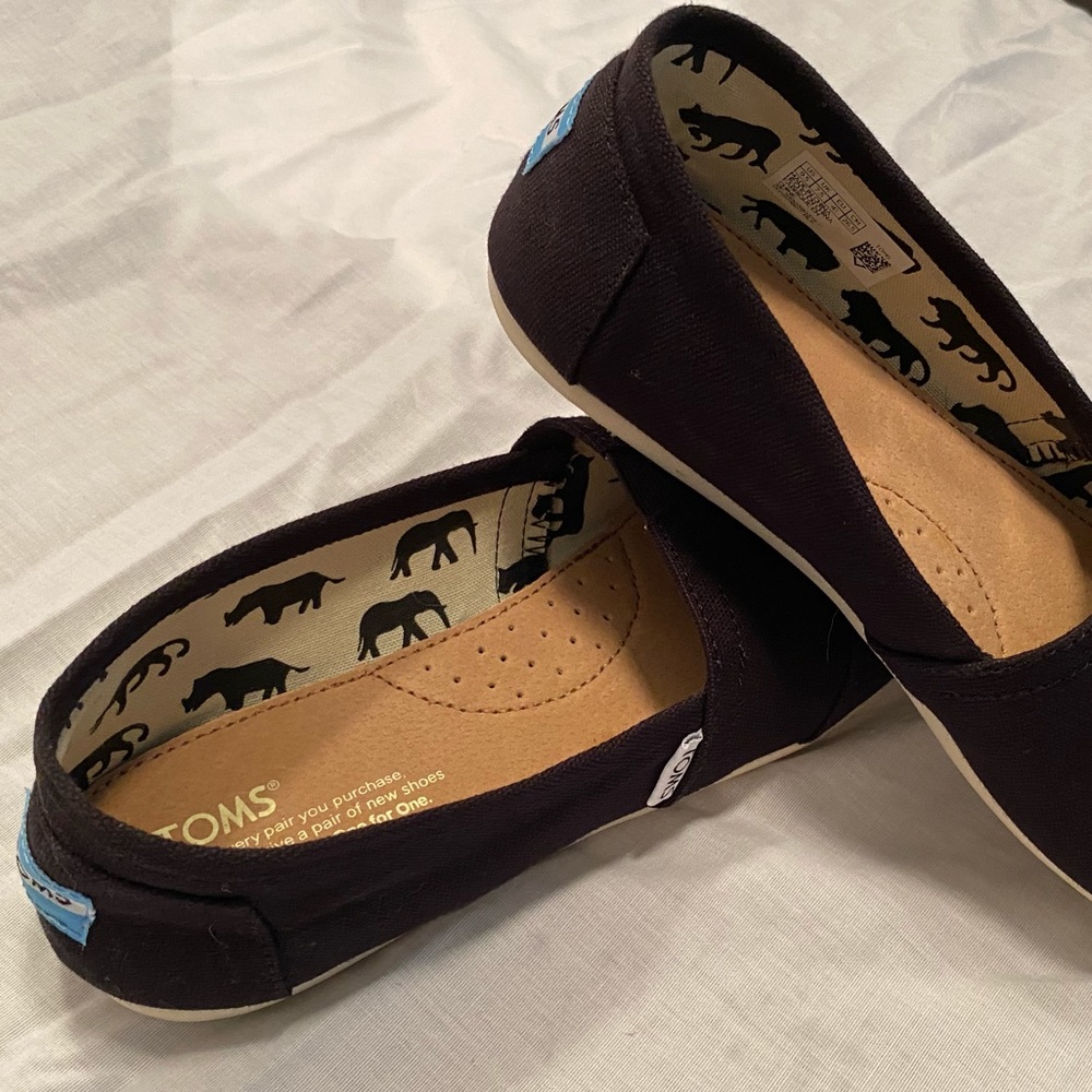 TOMS